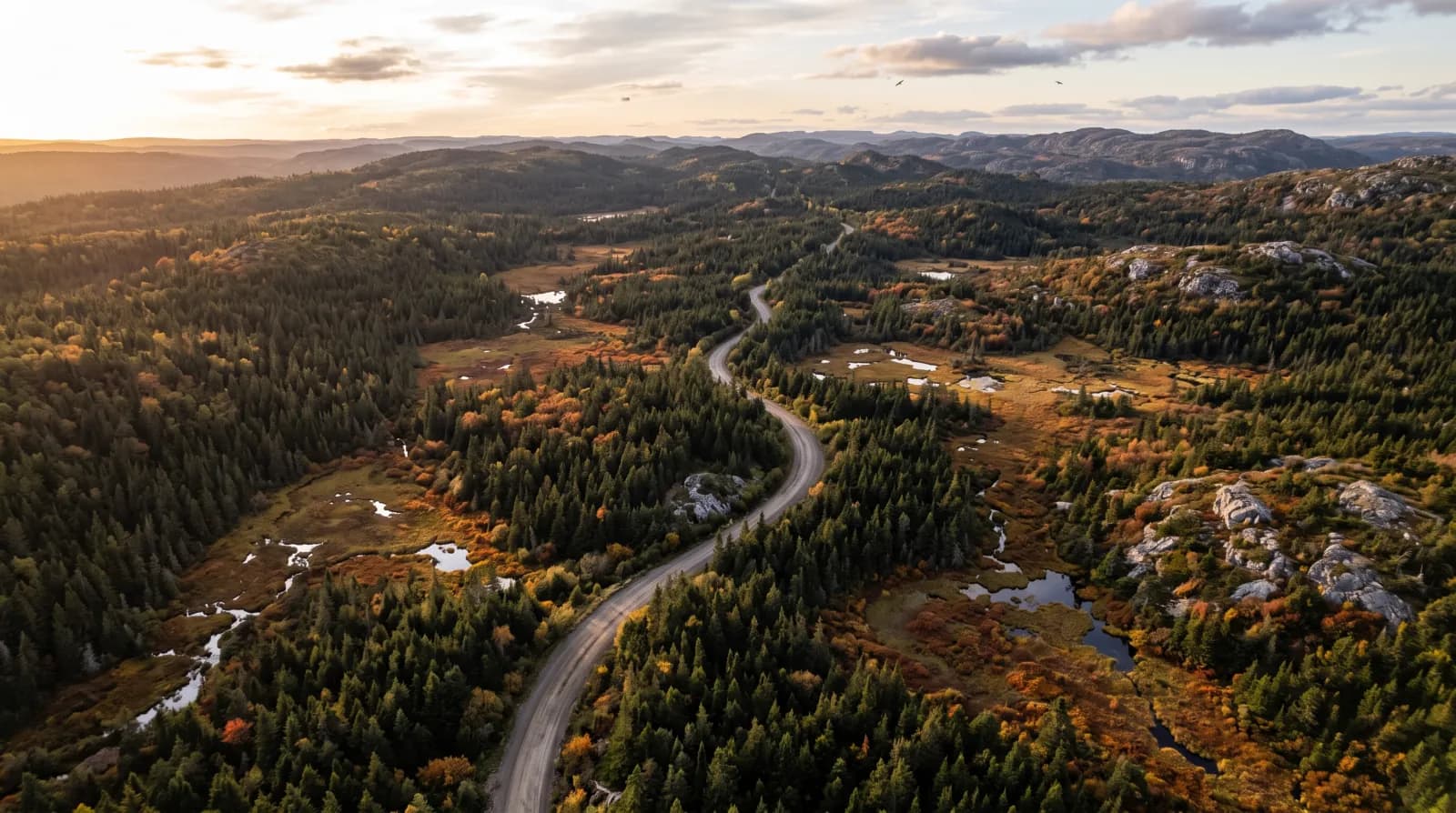 Exploration terrain at the Golden Goose Project, central Newfoundland